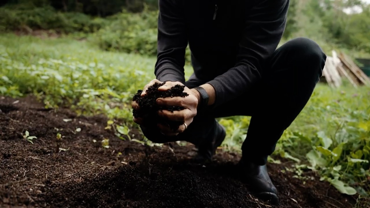 Composting is an integral part of our organic and vegan wine practices