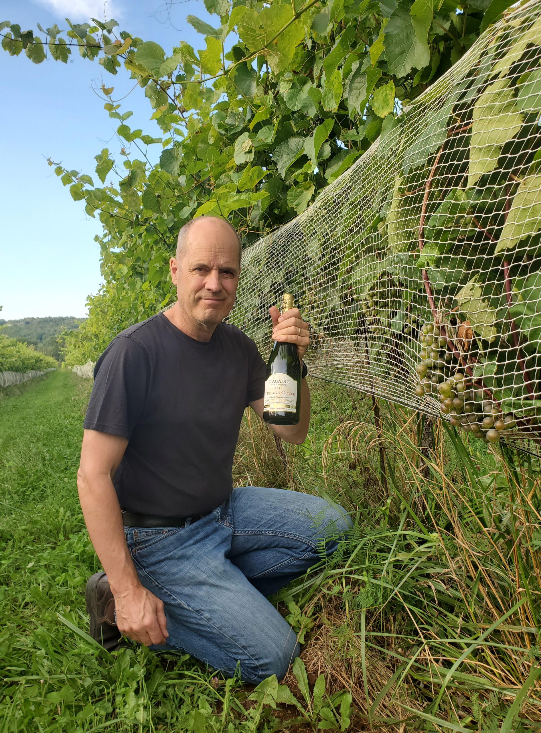 Biocyclic Vegan agriculture in Gaspereau Valley Nova Scotia. L'Acadie Vineyards produces certified vegan wines.